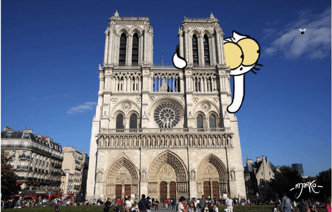 cat paris GIF by marko
