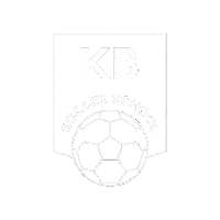 Football Soccer Sticker by Pitshanger Dynamo