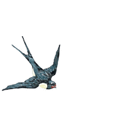 Bird Flying Sticker by Les Néréides