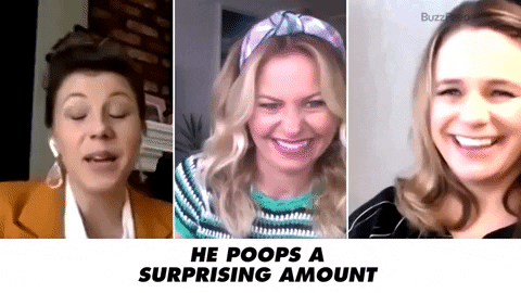 Poop GIF by BuzzFeed