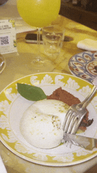 Fever Burrata GIF