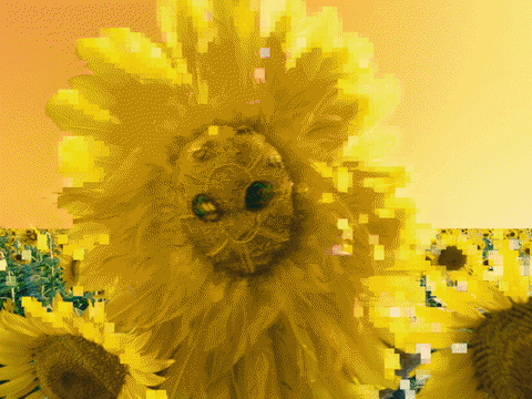 Sunflower Hoodie Up GIF by Missio