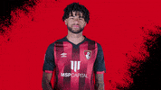 Football Crowd GIF by AFC Bournemouth