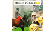 In The Hood Horse Sticker