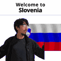 Si Slovenia Sticker