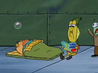 season 5 GIF by SpongeBob SquarePants