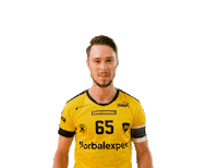 Floorball Hartman Sticker by Český florbal
