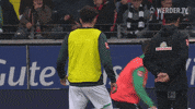 Football Soccer GIF by SV Werder Bremen