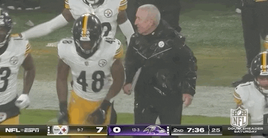 National Football League GIF by NFL