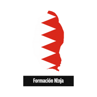Flag Bandera Sticker by Formación Ninja