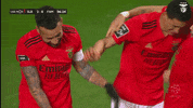 Sl Benfica Fighting GIF by Sport Lisboa e Benfica