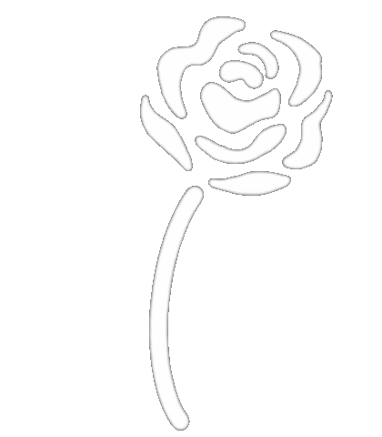 Loop Flower Sticker by NRW Jusos