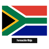 South Africa Flag Sticker by Formación Ninja