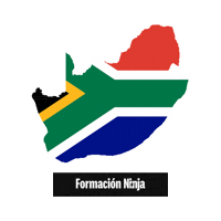 South Africa Flag Sticker by Formación Ninja