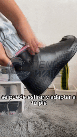 maximenoza giphyupload GIF