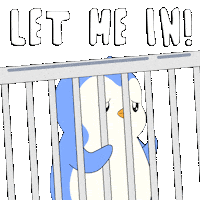 Excited Lets Go Sticker by Pudgy Penguins