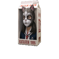 Cat Love Sticker by Seorang Zaki