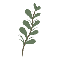 Flower Leaf Sticker by TOrZoNBorZ