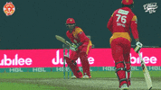 league cricket GIF by Islamabad United