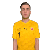Swipe Switzerland Sticker by Swiss Football Association