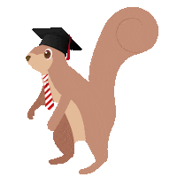 graduation highlanders Sticker by RadfordU