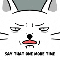 Angry White Cat GIF by MESA My Emotional Support Animal