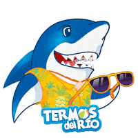 termosdelriosv celebracion vacaciones diversion lentes Sticker