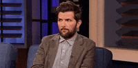 Adam Scott Stare GIF by Team Coco