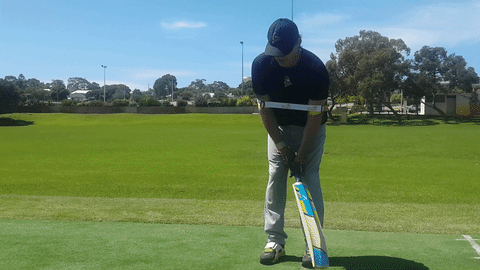 cricket precise GIF