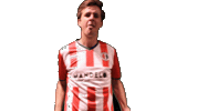 Yourdreamsarenow Theclassof2019 Sticker by De Kaascoman