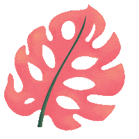 Tea Sticker by bioteahouse