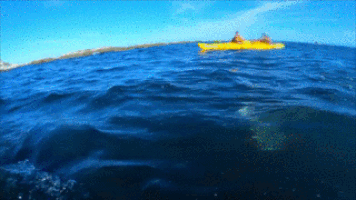 slap wtf GIF