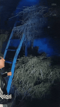 Barn Countryside GIF by Rodriw Castel