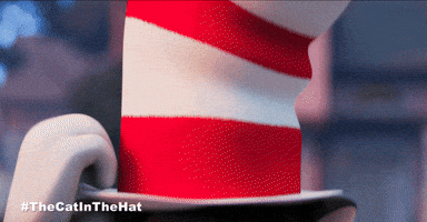 Bill Hader Cat GIF by Warner Bros. Pictures