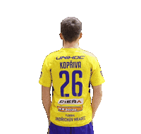 FLORBALJH sports sport floorball florbal Sticker