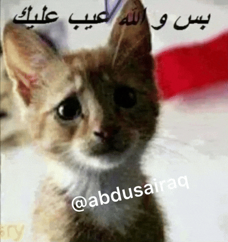 ميمز GIF