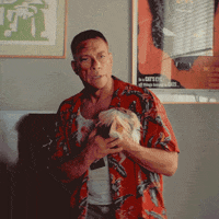 orange-belgium sorry jcvd GIF