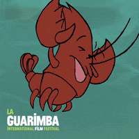 Happy Oh Yeah GIF by La Guarimba Film Festival