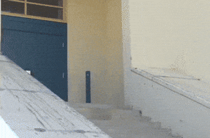 Swag Skateboarding GIF