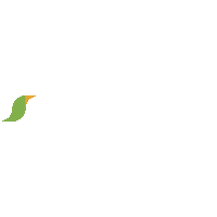 beach ilhabelaturismo Sticker by Turismo Ilhabela