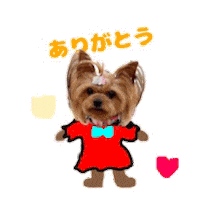 Coco Sticker