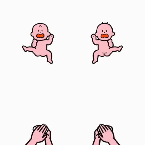 josebrito2fa9 giphyupload GIF