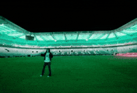 Borussia Dortmund Football GIF by Jan Metternich