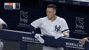 Jomboy  GIF