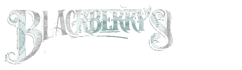 Logo Be Right Here Sticker by Blackberry Smoke