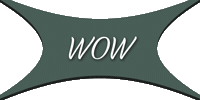 Wow Sticker
