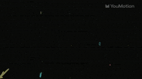 Animated Cartoon Flowers Animations