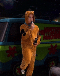 Dog No GIF