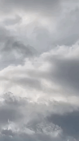 Merlin Tower