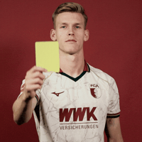 Bundesliga Anton GIF by FC Augsburg 1907